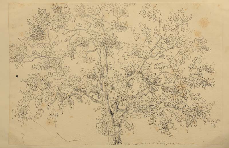 I progetti per Sant'Antonio nuovo a Trieste